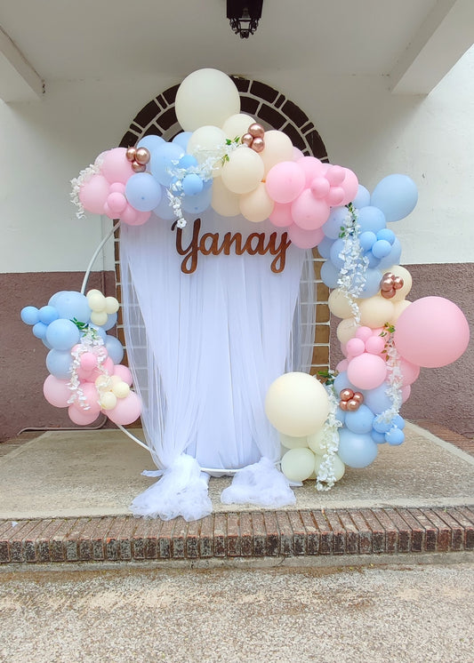 Gender Reveal